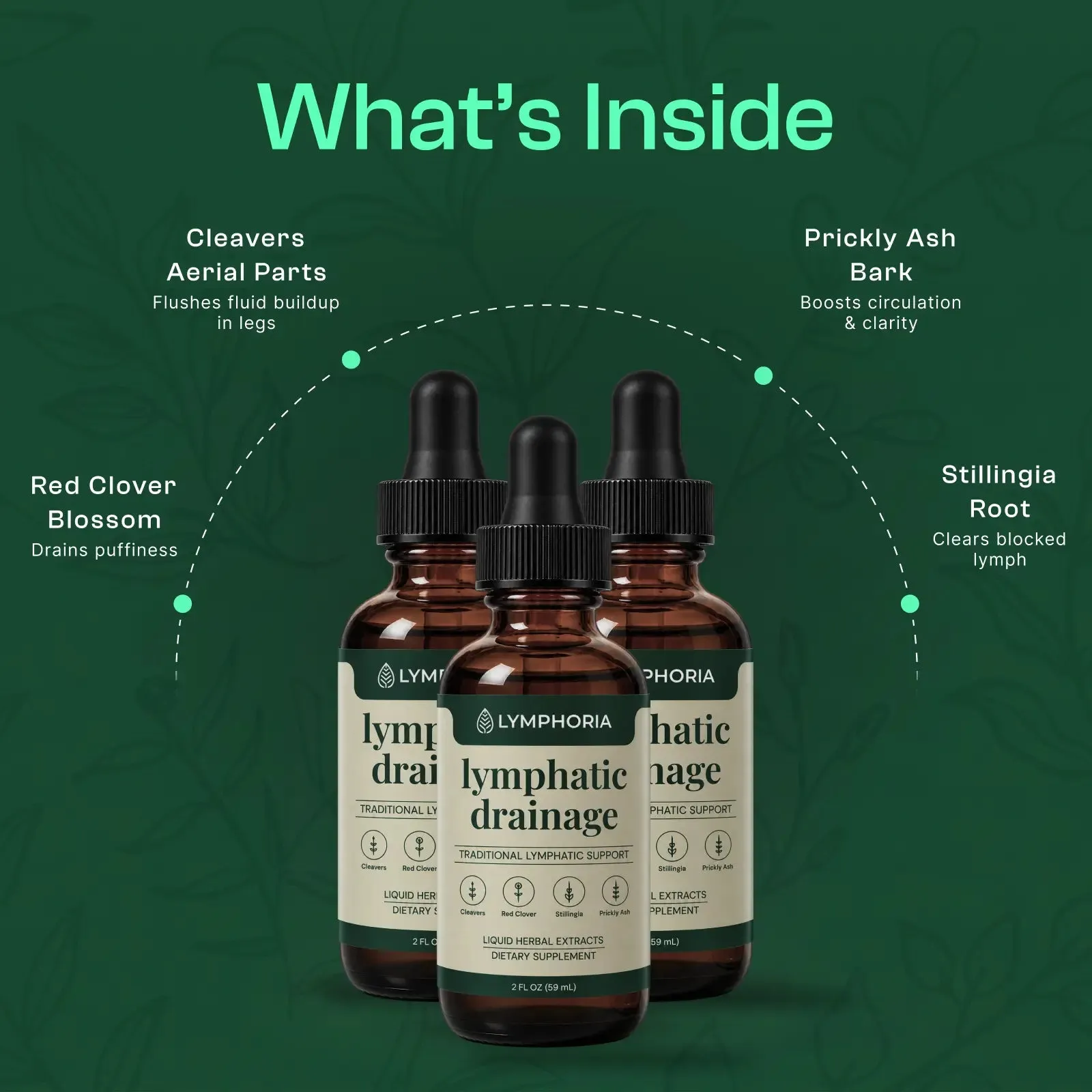Lymphoria Wellness Drops